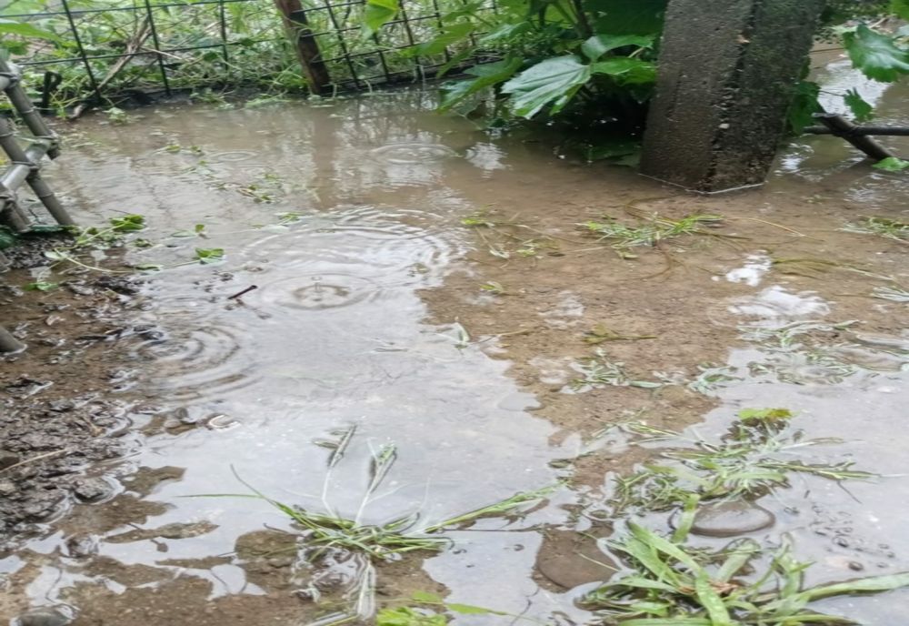 Cod portocaliu de descărcări electrice, grindină, intensificări ale vântului, vijelie