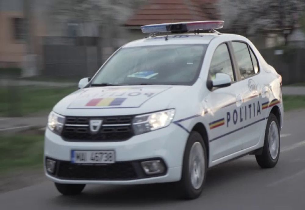 Doi minori au sustras mai multe ornamente și accesorii de la un autovechicul