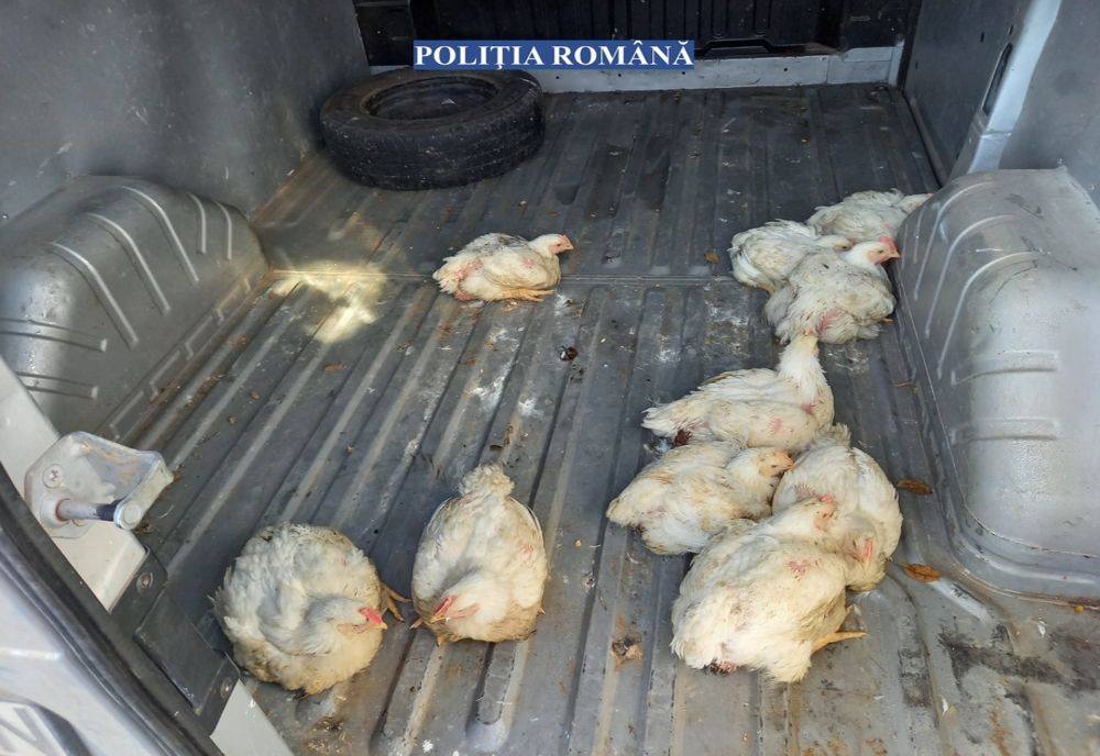 Foto: Angajat al unei societăţi prins în flagrant de polițiști în timp ce înstrăina produsele angajatorului