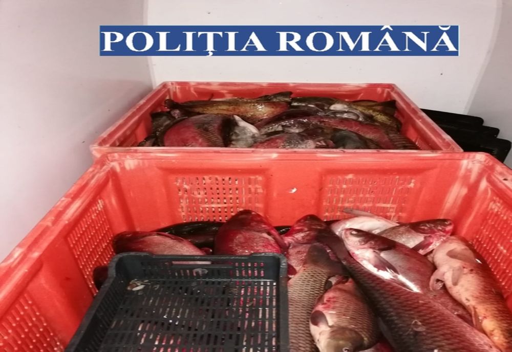 Şofer profesionist rămas şi fără permis, şi fără încarcătura transportată!