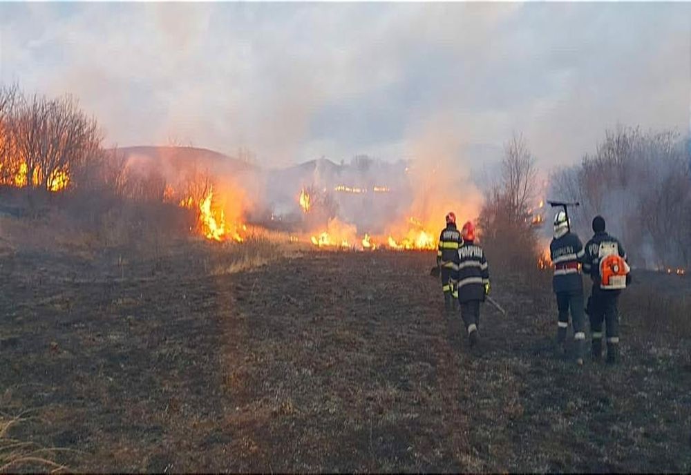 Femeie de 73 de ani găsită carbonizată pe un câmp unde a avut loc un incendiu de vegetație