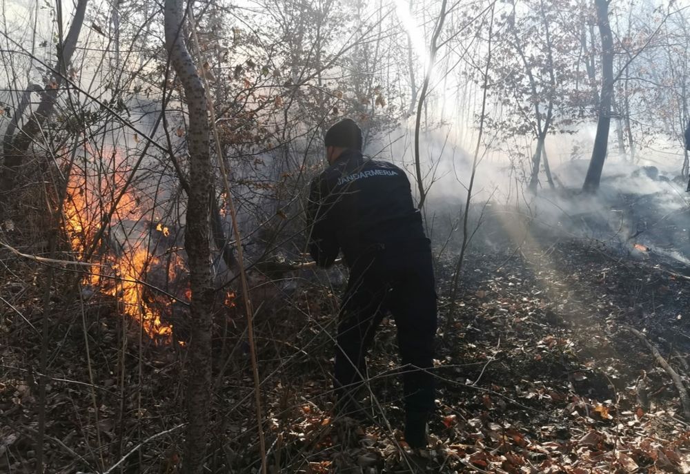 Incendiul de vegetație uscată de pe raza localității Cislău a fost lichidat după 9 ore