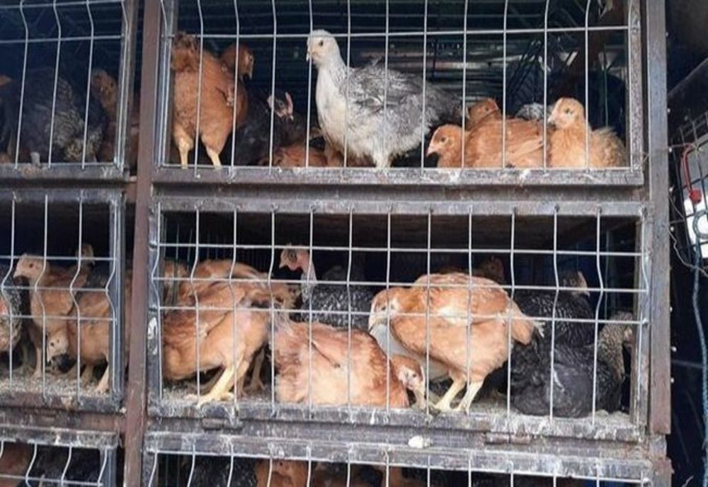 Zona târgurilor şi a pieţelor agroalimentare în atenţia poliţiştilor