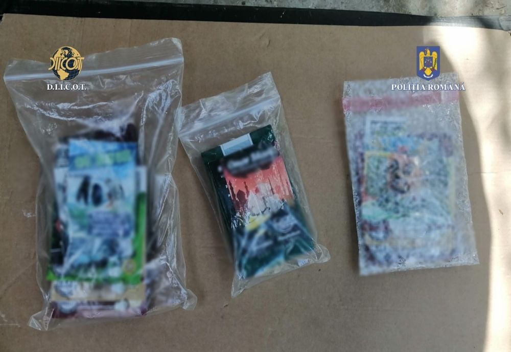 Video: Arestați pentru trafic de droguri. Cultură indoor de cannabis în județul Buzău