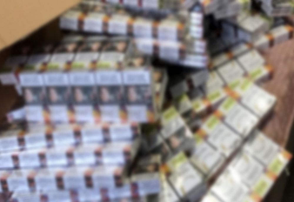 Video: Percheziții la persoane bănuite de proxenetism