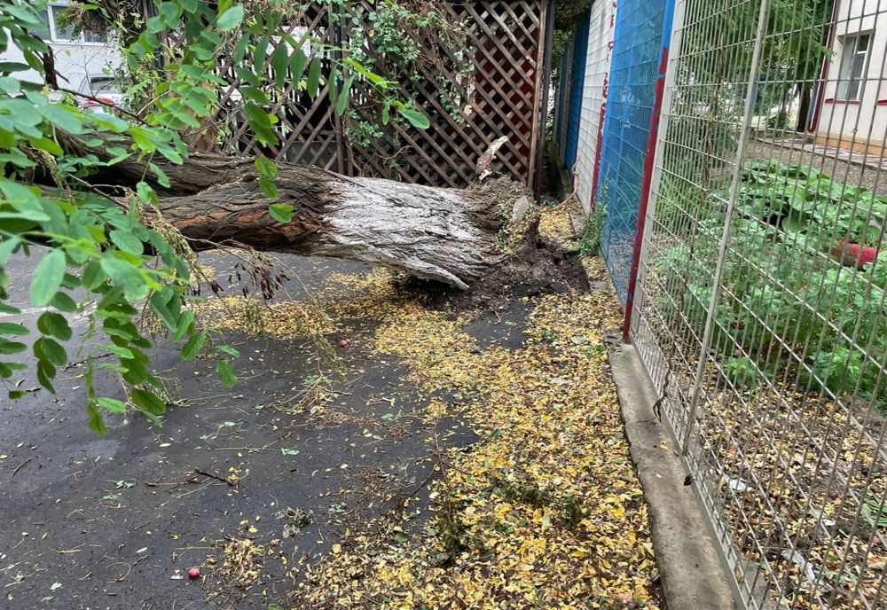 Ploaia scurtă, însă de mare intensitare, după câteva ore toride, a produs fenomene nedorite în Râmnicu Sărat