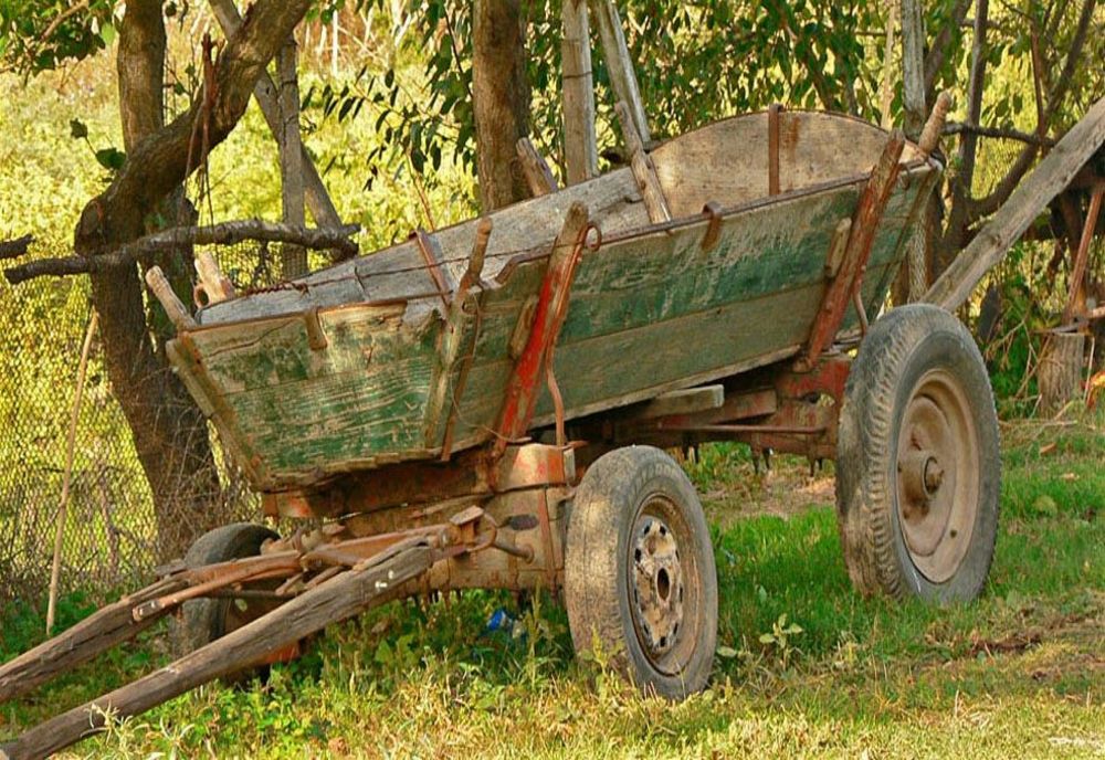 Flagrant delict– bănuit de furt dintr-o societate comercială, depistat de polițiști