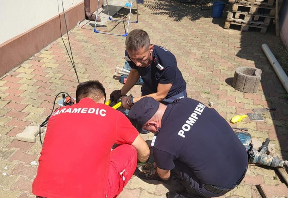 Foto: Pisic salvat de pompierii buzoieni