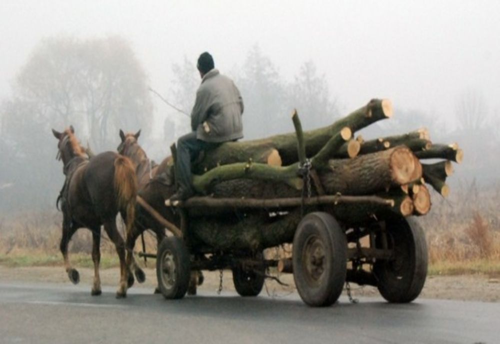 Sancțiuni la regimul silvic aplicate de polițiștii buzoieni