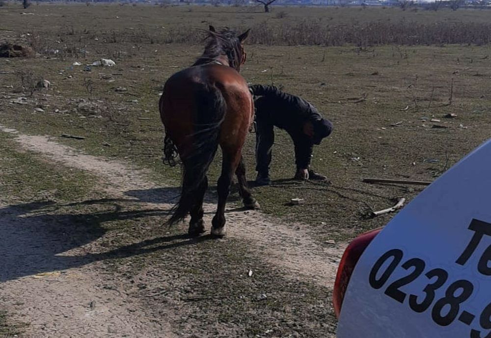 Polițiștii locali buzoieni i-au confiscat căruța și l-au amendat pe un buzoian care depozita moloz pe domeniul public