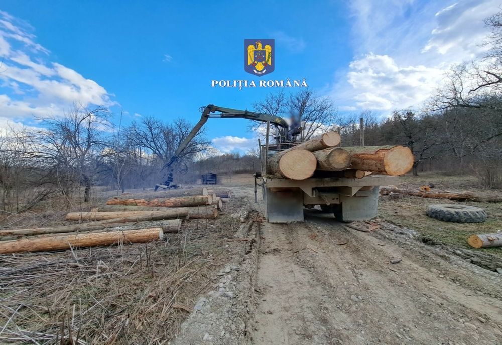 Acțiuni ale poliţiştilor pentru prevenirea şi combaterea prejudicierii fondului forestier. Aproximativ 50 de metri cubi de material lemnos confiscați