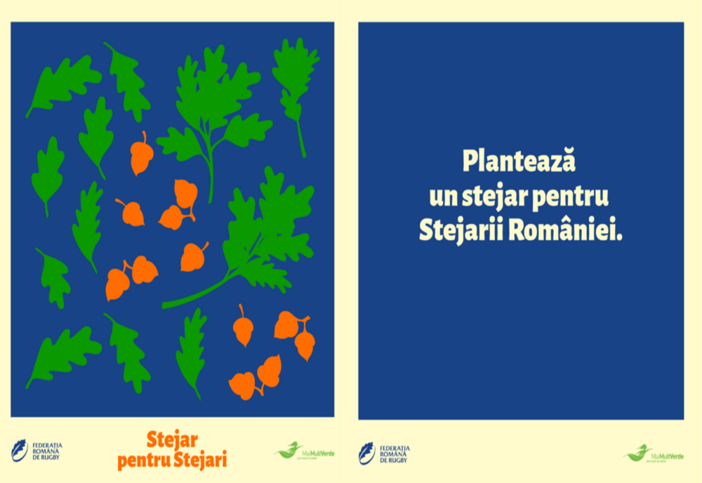 Un stejar pentru Stejarii României: Campanie de plantare de copaci în numele echipei naționale de rugby