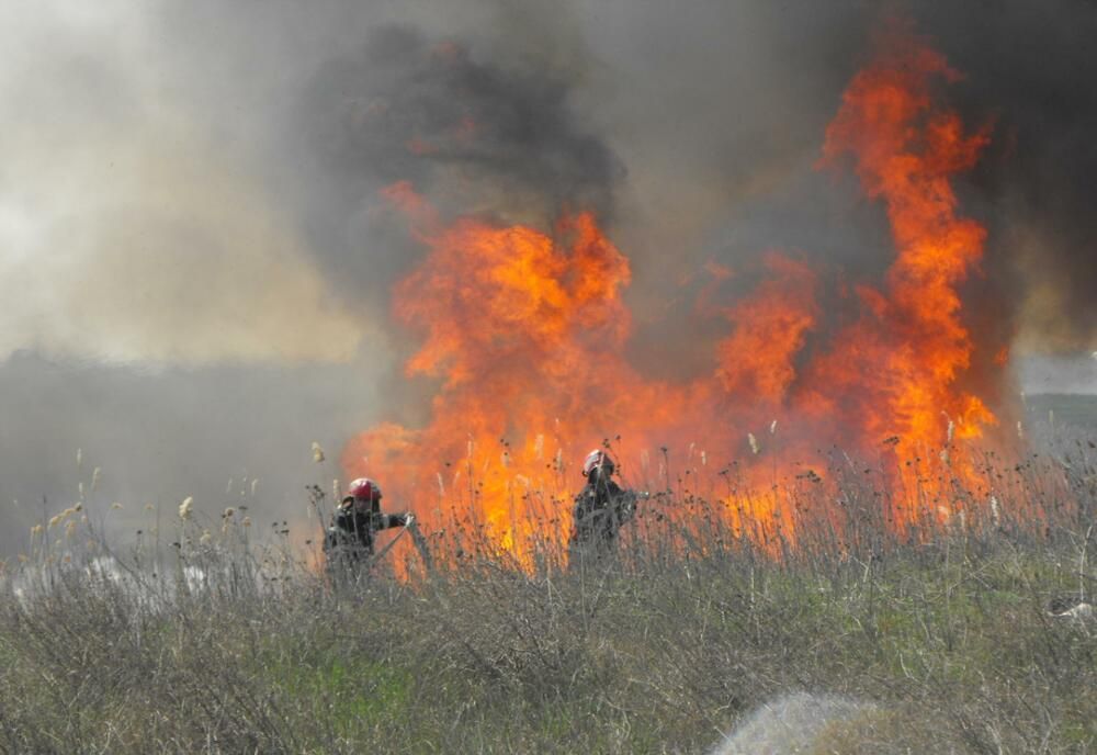PLÂNGERI PENALE FORMULATE DE GARDA DE MEDIU PENTRU INCENDIEREA VEGETAŢIEI USCATE DIN ARII PROTEJATE