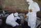 Ideea sacrificării în masă, tot mai discutată în situația de la Vadu Pașii