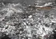 Video Autoritatile, in alerta. Focar de infectie la marginea orasului