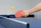 Ovidiu Ionescu şi Daniela Dodean Monteiro au câştigat medaliile de aur în proba de dublu mixt a Campionatului Naţional de tenis de masă