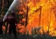 Incendiu de proporții la Nehoiu. Arde pădurea și echipele de intervenție nu pot opri flăcările