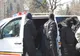 60 de persoane audiate şi 15 tone de tutun ridicate de poliţişti în urma percheziţiilor în 22 de judeţe şi Buzău