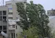 Nu scăpăm de vreme rea ! Atenționare meteo de vânt puternic. Rafale de până la 75km/h