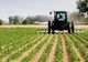 Deschiderea de credite bugetare  pentru continuarea plăţilor către fermieri