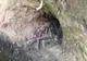 Groapă cu oseminte umane descoperită în localitatea buzoiană Topliceni