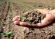 Specialiști trimiși de Prefectură, pentru a evalua pagubele produse de secetă