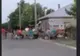 Scene înfiorătoare în județul Buzău - animale bătute cu cruzime