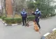 Sia și Dan, noii colegi ai polițiștilor buzoieni