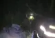 Video: După mai bine de 5 ore, un cerb rănit a fost  salvat de jandarmii buzoineni