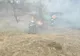 Un incendiu de vegetație a distrus 35 de hectare de vegetație uscată, lăstăriș, mărăciniș, și 200 de metri de cabluri electrice