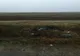Biciclist accidentat la Gălbinași