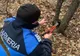 Doi pui de urs prinși în laț într-o pădure din Gura Taghii