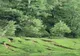 Pământul o ia la vale văzând cu ochii în zona  Bâsca Rozilei