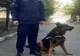 Reținut pentru 24 de ore pentru tâlhărirea unui bătrân de 81 de ani