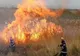 Campania agricolă de vară 2021 - Reguli şi măsuri de prevenire a incendiilor