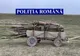 Flagrant delict - dosar penal pentru tăiere ilegală și furt de arbori