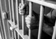 Denunțat de fratele său la aproape 9 ani de la comiterea unei crime