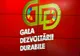 Primăria Buzău premiată în cadrul Galei Dezvoltării Durabile