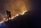 Video: Mobilizare de forțe pentru lichidarea a două incendii de amploare pe raza comunelor Pietroasele și Merei