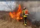 Incendiu de vegetație uscată ce se manifestă pe raza localității Cislău