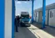 Video: Delfini și lei de mare din Ucraina, trimiși la Delfinariul din Constanța