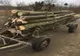 Cercetat pentru tăiere ilegală şi furt de arbori