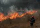 Cinci incendii de vegetație pe teritoriul județului Buzău