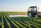 Corpul de Control al Ministerului Agriculturii, verificări la legumicultorii din Buzău suspectaţi de tratarea tomatelor cu substanţe interzise