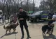 VIDEO: Mascaţi, arme, câini poliţişti, maşini, motociclete și toate au putut fi admirate azi, 25 martie, de sute de buzoieni, cu prilejul Zilei Poliţiei Române