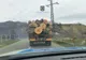Transporta o cantitate mai mare de lemne decât cea trecută în aviz