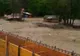 VIDEO+FOTO Mai multe localități din județul Buzău au fost afectate de ploile torențiale. Drumuri, poduri și zeci de gospodării au fost inundate