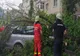 Furtuna a doborât mai mulți copaci în municipiul Buzău