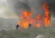 PLÂNGERI PENALE FORMULATE DE GARDA DE MEDIU PENTRU INCENDIEREA VEGETAŢIEI USCATE DIN ARII PROTEJATE