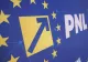 Greii din PNL își anunță susținerea pentru Adrian Veștea